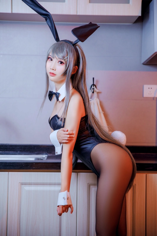 樱岛麻衣兔女郎 - 面饼仙儿