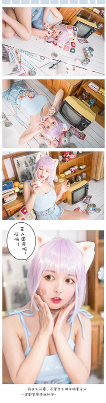 养猫小课堂 - 黑猫猫ovo